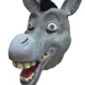 Meet your Posher, Kevin